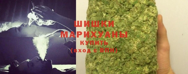 гашик Дмитров