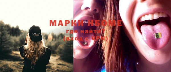 гашик Дмитров