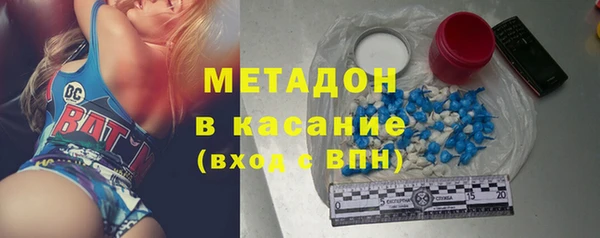 гашик Дмитров