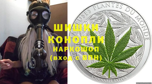 гашик Дмитров