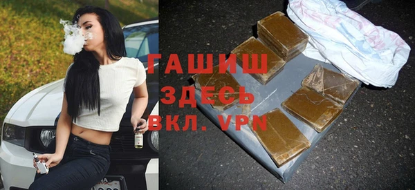 гашик Дмитров